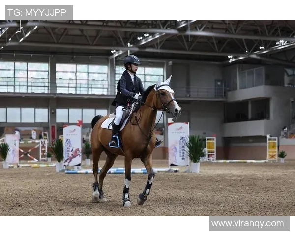 1月30日骑士对决强敌全力争胜精彩赛事不容错过