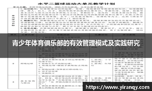 青少年体育俱乐部的有效管理模式及实践研究