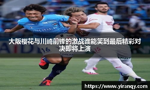 XC体育手机网页版登录