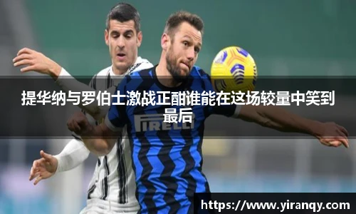 XC体育官网版